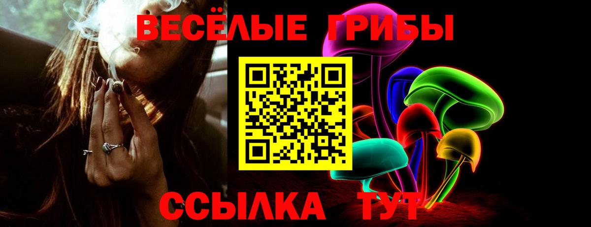 Галлюциногенные грибы Cubensis Усть-Илимск