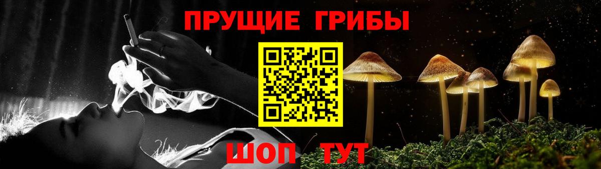 Псилоцибиновые грибы Psilocybe  Вход с VPN  Усть-Илимск 